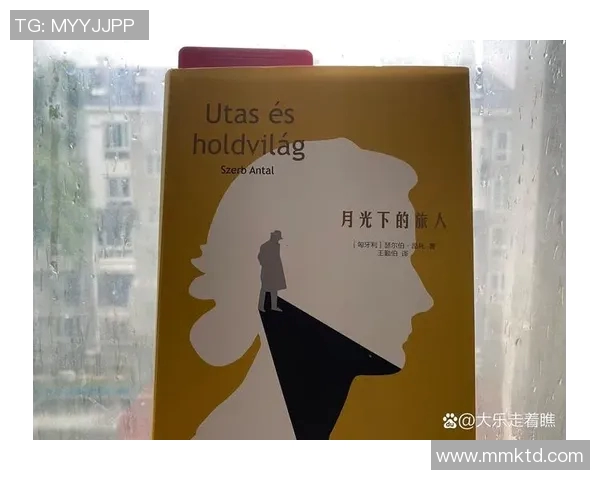 托利索里昂重返故乡之旅感悟与回忆交织的心灵之旅