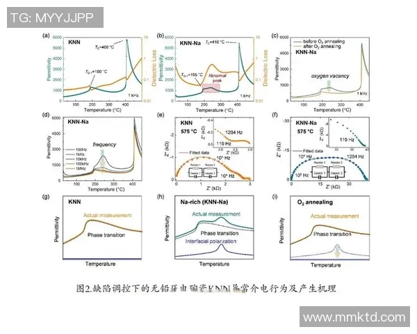德甲球队阵容优化策略及其在新赛季中的实施进展分析